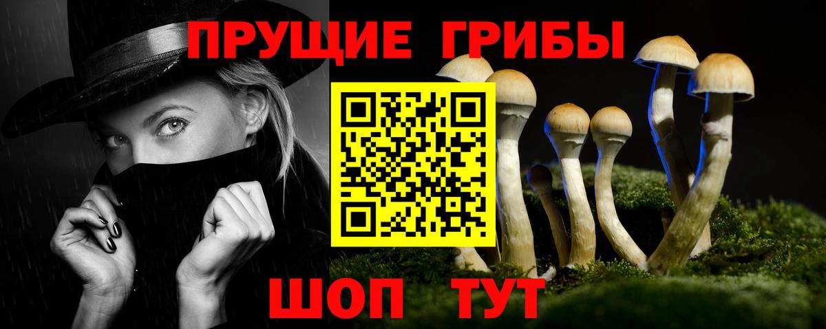 Ирбит  Галлюциногенные грибы прущие грибы  продажа наркотиков  Галлюциногенные грибы мухоморы  Вход с VPN 